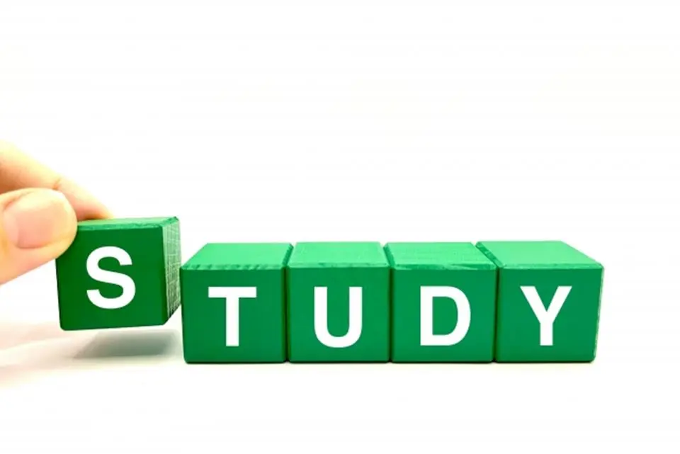 緑のブロックにSTUDYの文字
